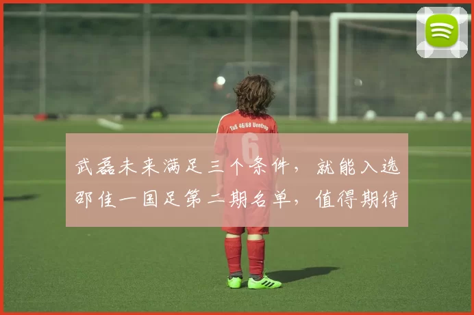 武磊未来满足三个条件，就能入选邵佳一国足第二期名单，值得期待