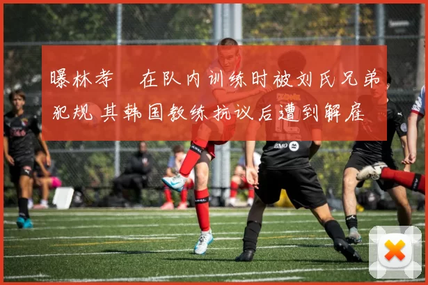 曝林孝埈在队内训练时被刘氏兄弟犯规 其韩国教练抗议后遭到解雇