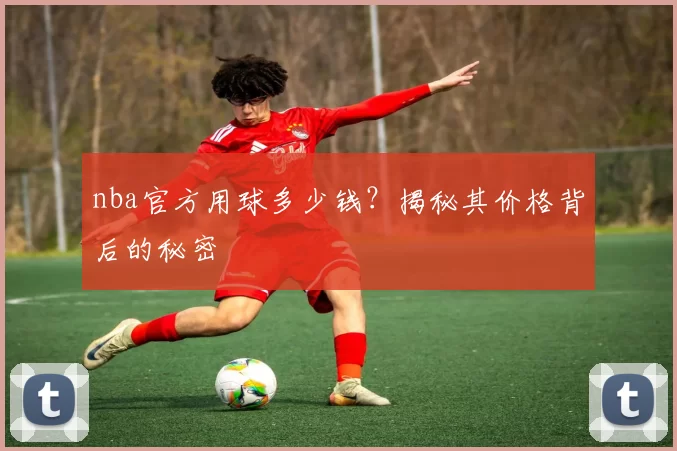 nba官方用球多少钱？揭秘其价格背后的秘密