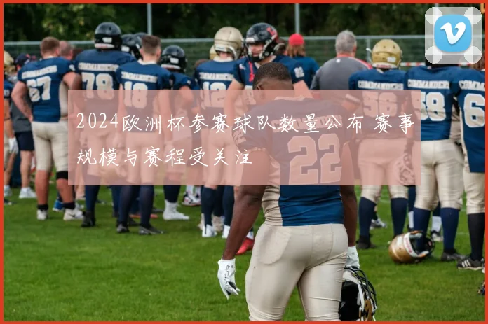 2024欧洲杯参赛球队数量公布 赛事规模与赛程受关注