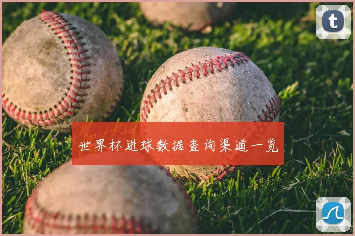 世界杯进球数据查询渠道一览